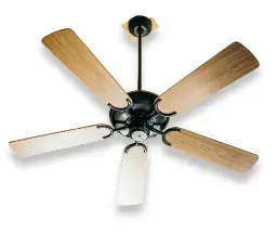 Ceiling Fan